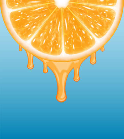 Orange sliceのイラスト素材