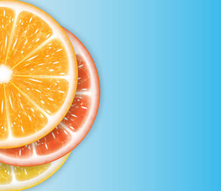 Citrus fruitのイラスト素材