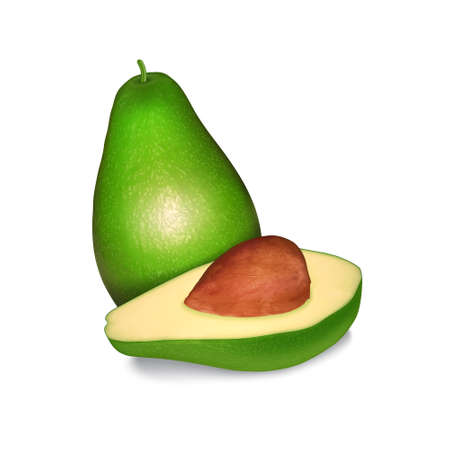 Avocadoのイラスト素材