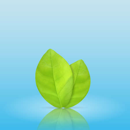 Green leavesのイラスト素材