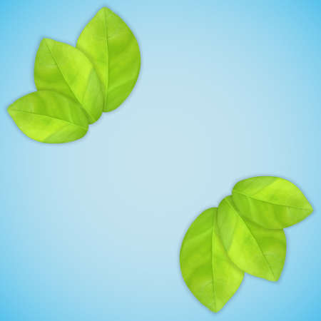 Green leavesのイラスト素材