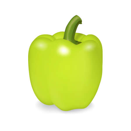 Bell pepperのイラスト素材