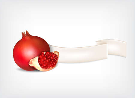 Pomegranateのイラスト素材