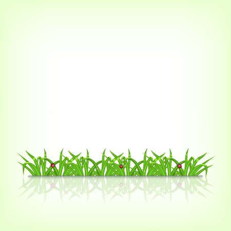 Green grassのイラスト素材