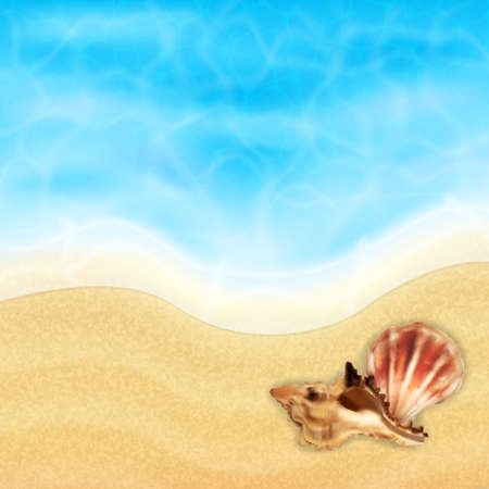 Summer vacation background. Topical sea and beach with sea shells. EPS10 vectorのイラスト素材