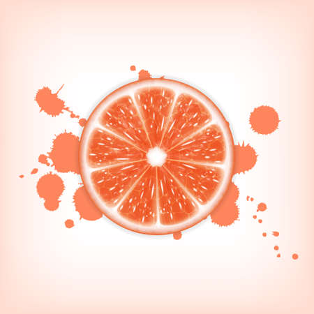 Background grapefruit slice. High quality vector. EPS10 vectorのイラスト素材
