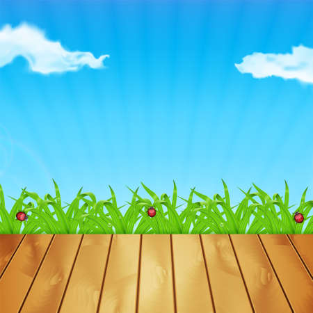Background with green grass. Grass with ladybug and waterdrop. Sky with cloud. Landscape. Summer time. EPS10 vectorのイラスト素材