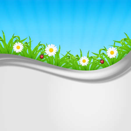 Background with green grass. Grass with ladybug and waterdrop. Chamomile with grass. Landscape. Summer time. vectorのイラスト素材