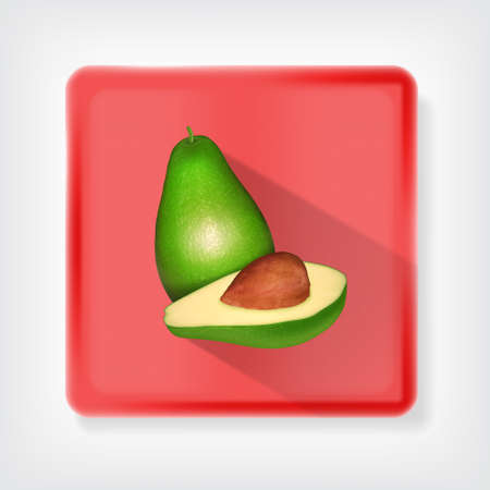 Avocado. Icon with long shadow. のイラスト素材