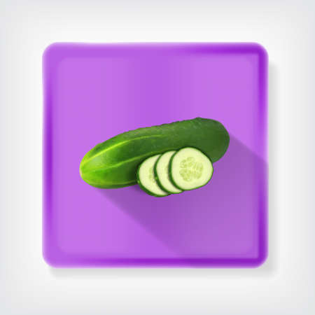 Cucumber. Icon with long shadow.  vectorのイラスト素材
