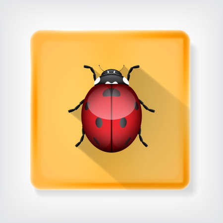Ladybug. Icon with long shadow. vectorのイラスト素材