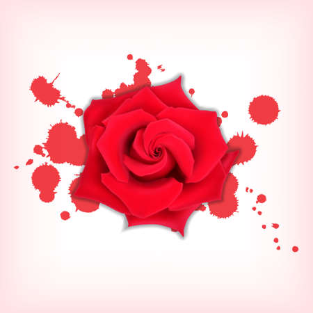 Red rose with splashes. Bloody splashes with a rose. High quality vector. EPS10 vectorのイラスト素材