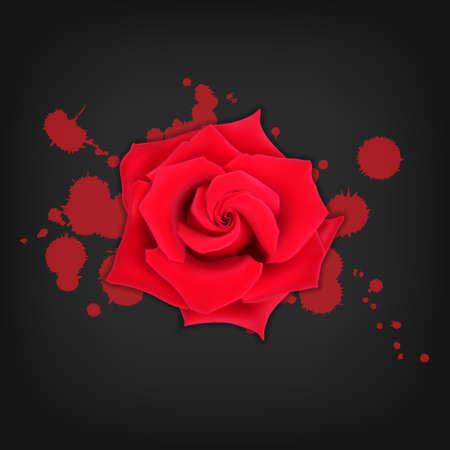 Red rose with splashes on black background. Bloody splashes with a rose. High quality vector. EPS10 vectorのイラスト素材