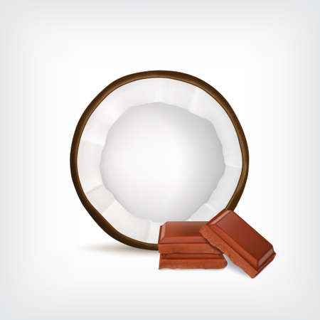 Coconut slice with chocolate pieces. Vector icon.  vectorのイラスト素材