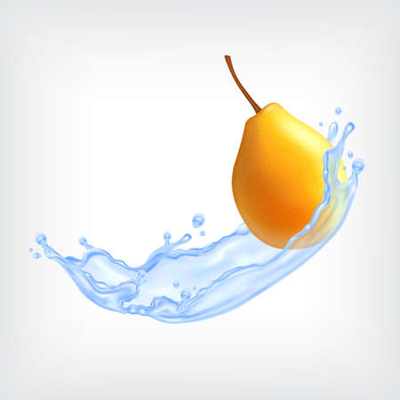 Pear with blue splashing water.のイラスト素材
