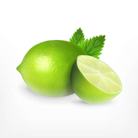 Lime with mintのイラスト素材