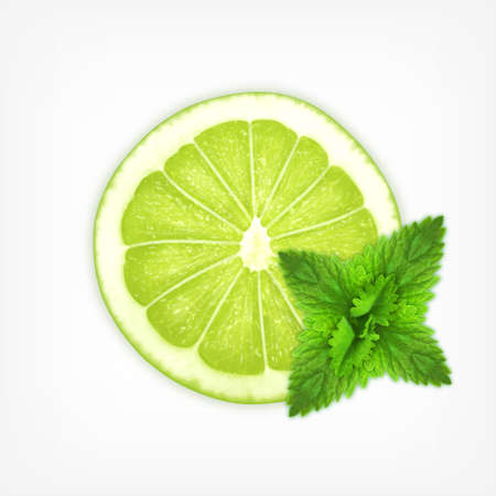 Lime slice with mintのイラスト素材