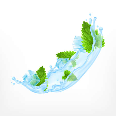 Mint with water splash and ice cubesのイラスト素材