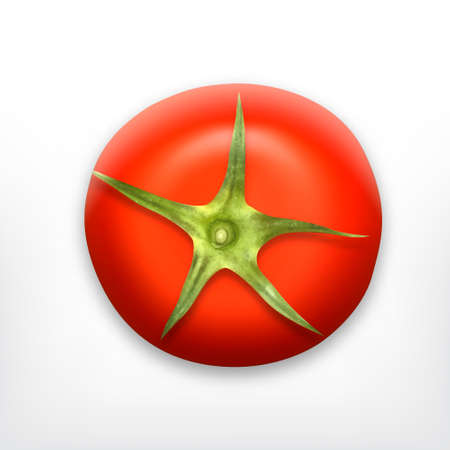 Top view of fresh tomato. EPS10 vector iconのイラスト素材