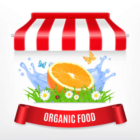 Organic food conceptのイラスト素材
