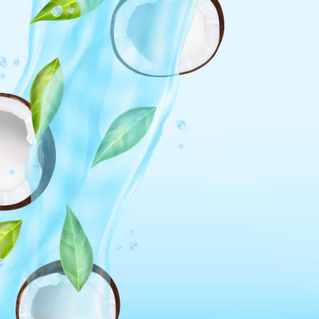 Coconut with greenのイラスト素材