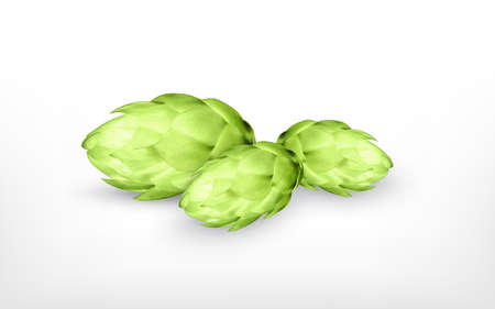 Hop plant. Vector iconのイラスト素材