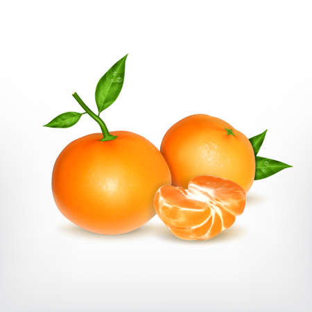 Ripe tangerine with slice, realistic illustration.のイラスト素材