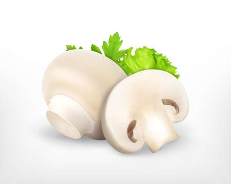 Mushroom champingnon with parsley and lettuce. Vector icon. EPS10のイラスト素材