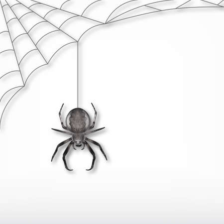 Black spider and web. Vector illustration. EPS10のイラスト素材