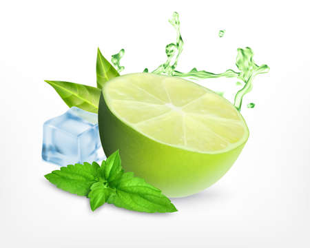Fresh lime with leaves of mint and ice cube. Mojito concept. Vector icon. EPS10のイラスト素材