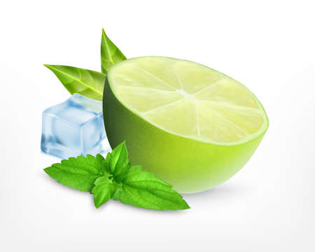 Fresh lime with leaves of mint and ice cube. Mojito concept. Vector icon. EPS10のイラスト素材