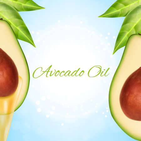 Fresh avocado slice with oilのイラスト素材