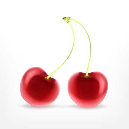 Fresh ripe cherryの写真素材