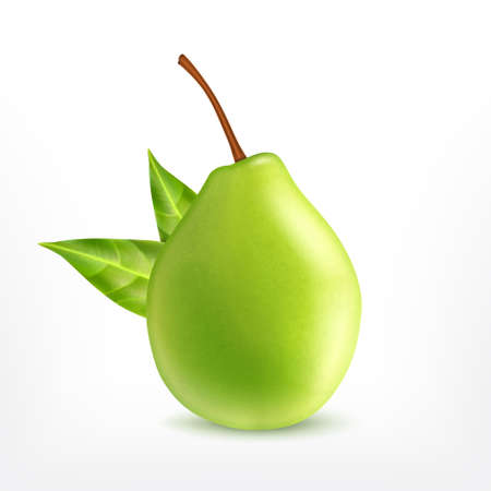 Green pear isolated on white background. Vector icon. EPS10のイラスト素材