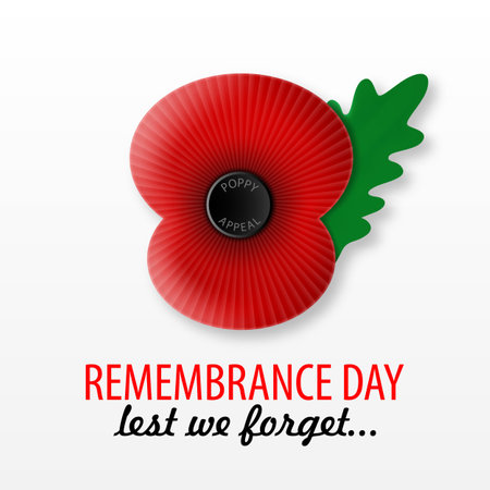 The remembrance poppyのイラスト素材