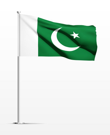 Pakistan flag isolated on white backgroundのイラスト素材