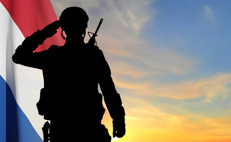Silhouette of a salutng soldier against the sunsetのイラスト素材