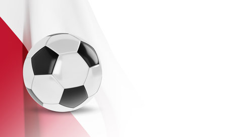 Soccer ball with flag of Polandのイラスト素材