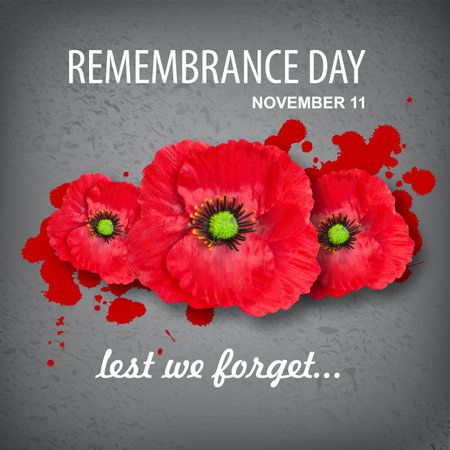 The remembrance poppy. Poppy Day background. Remembrance Day - Lest We Forgetの写真素材