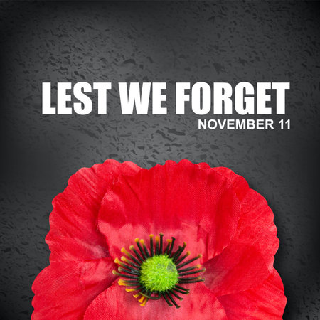 The remembrance poppy. Poppy Day background. Remembrance Day - Lest We Forgetの写真素材