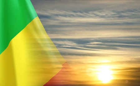 Flag of Mali against the sunset. EPS10 vectorのイラスト素材