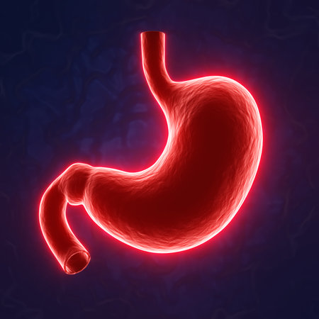 Neon glow human stomach on blue backgroundの写真素材
