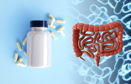 Human intestines with probiotics. Bottle with pills contained probiotics for human microbiome....