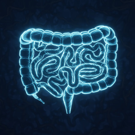 Human intestines on blue background. X-ray hologramの写真素材