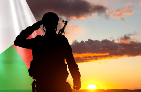 Silhouette of a soldier with the Madagascar flag against the sunset. National Holidays conceptの写真素材