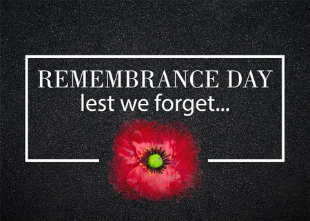 The remembrance poppy - poppy appeal. Poppy flower on black textured background. Remembrance Day, Memorial Day, Anzac Day in New Zealand, Australia, Canada and Great Britainの写真素材