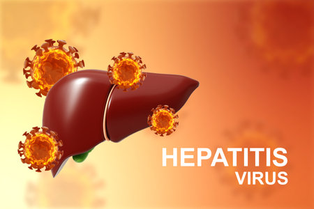 Human liver with virus cells on bright backgroundの写真素材