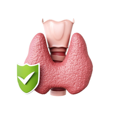 Thyroid gland with shield isolated on white background. Anatomy front view of thyroid gland. 3d-renderingの写真素材