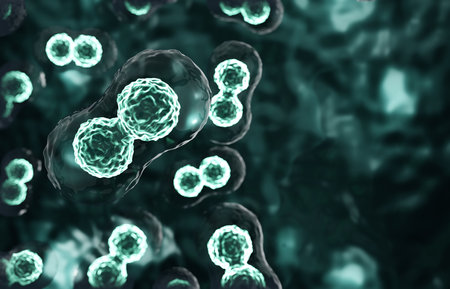 Research of stem cells. Cells under a microscope. Cellular Therapyの写真素材