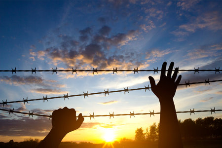 Silhouette of man hands holding barbed wire against the sunset.の写真素材